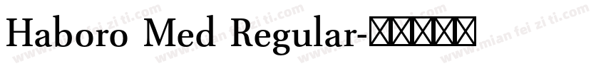 Haboro Med Regular字体转换